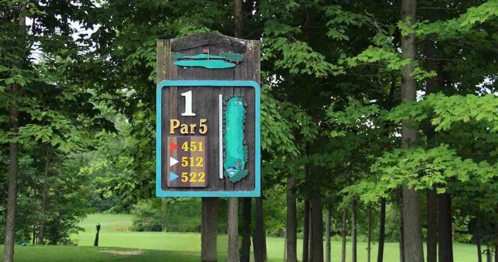 On a par 5 hole, a birdie in golf means you only use four strokes to complete the hole.