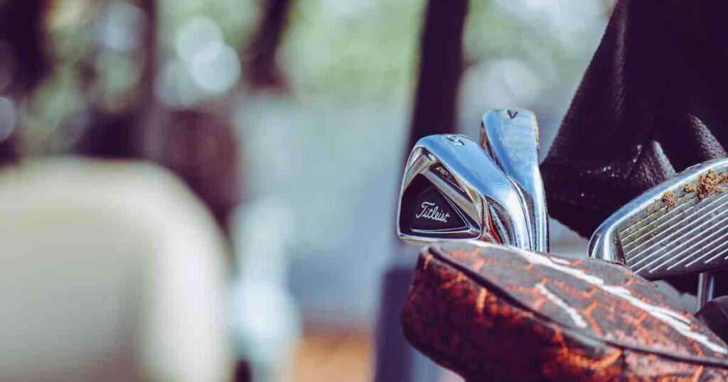 dirty golf clubs in a golf bag needing to be cleaned.