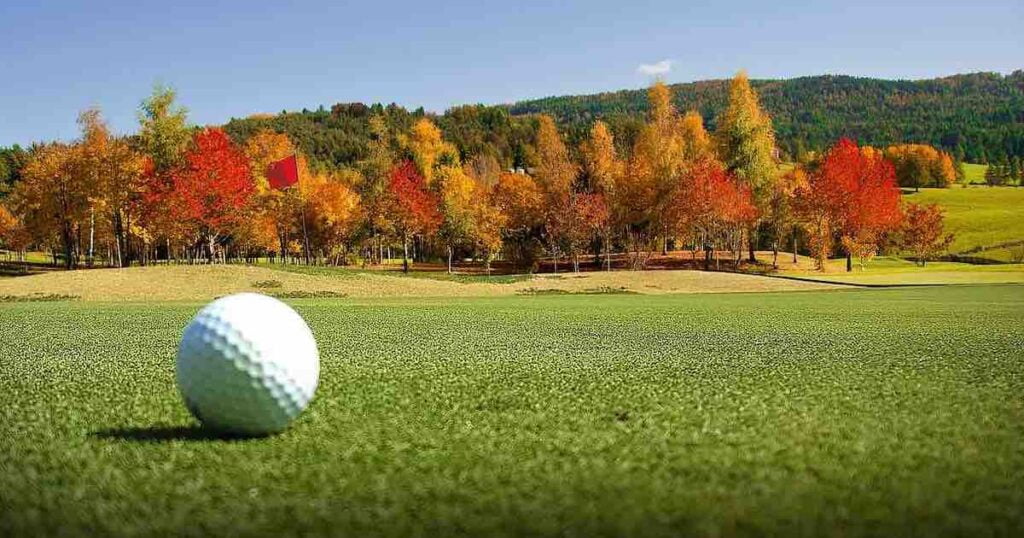 Kirkland Golf Ball sitting on the green with fall colored trees in the background.