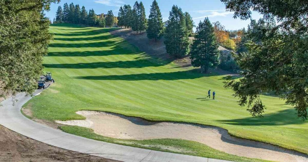 two golfers on a tree lined fairway playing 9 holes of golf